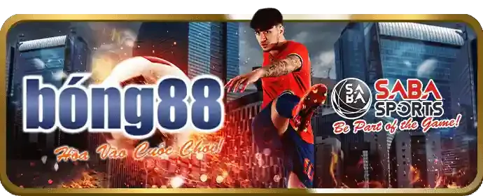Quan Sát Trực Tiếp Diễn Biến Trận Đấu